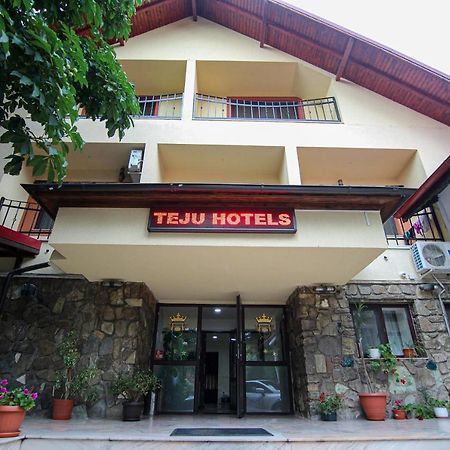 Teju Hotels Slănic 外观 照片