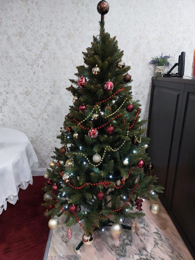 Teju Hotels Slănic 外观 照片